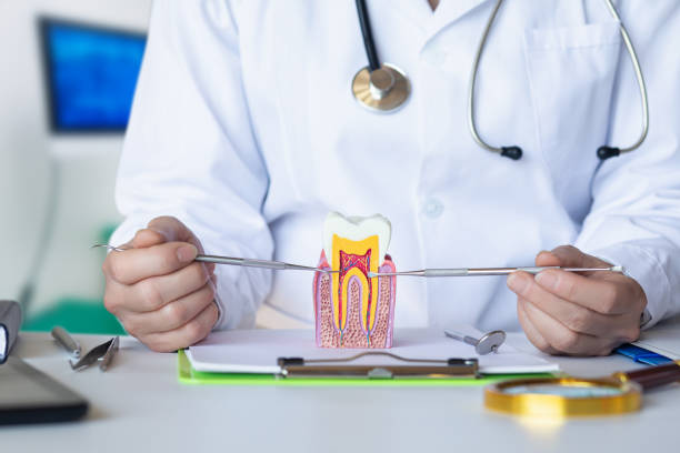 Best Emergency Tooth Extraction in Ballville, OH